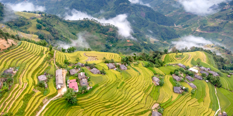OBG’s The Report: The Philippines 2012